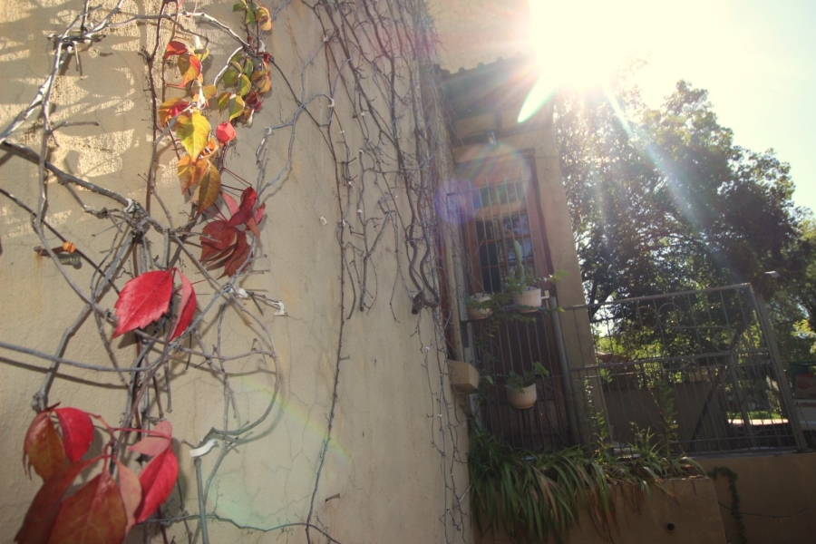 3 Bedroom Property for Sale in Bayswater Free State